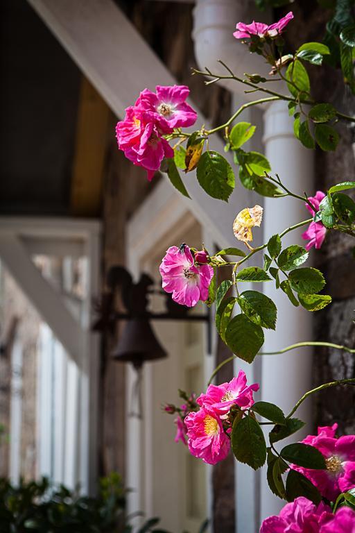 Stoodleigh Court Coach House Bed and Breakfast Tiverton  Exteriör bild